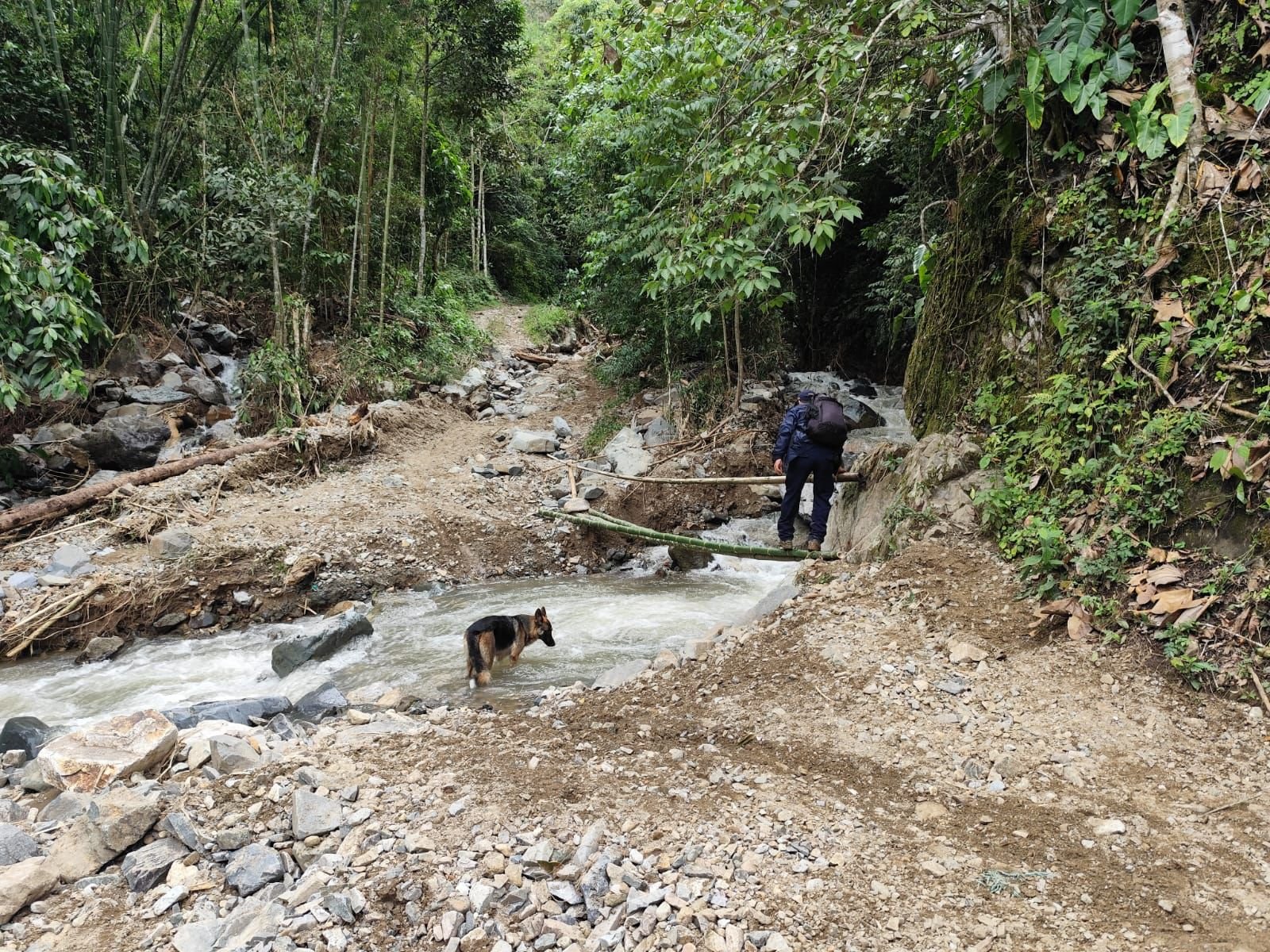 Alcaldía de Neiva responde a emergencias en San Luis tras intensas lluvias