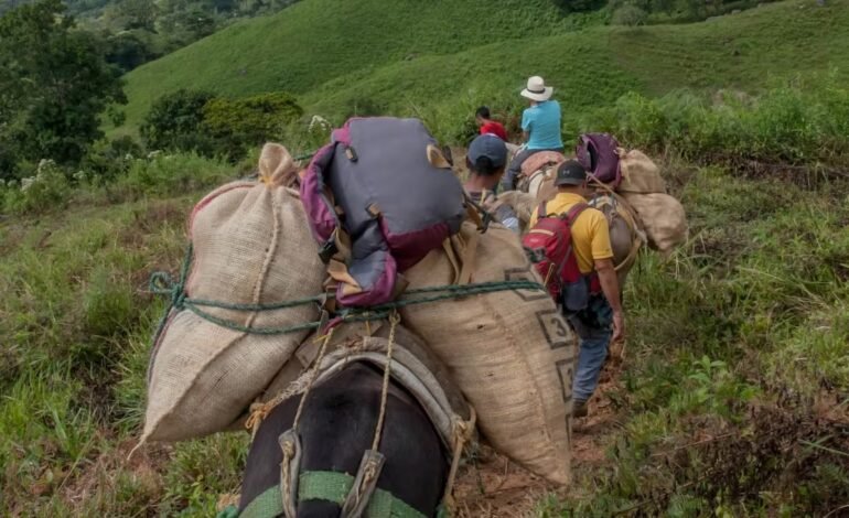 Víctimas del conflicto en Colombia podrían superar los diez millones en 2026