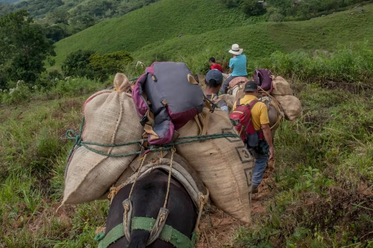 Víctimas del conflicto en Colombia podrían superar los diez millones en 2026